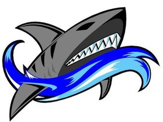 <span class="mw-page-title-main">Perth Sharks</span> Ice hockey team in Western Australia, Australia