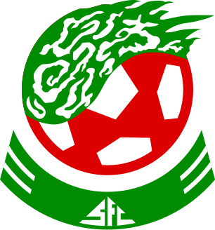 File:Shenzhen F.C.1994.svg