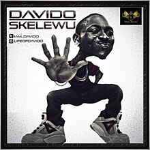 Skelewu Alternate cover.jpg