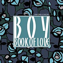 Image result for boy book of love