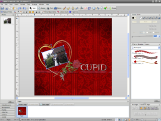 <span class="mw-page-title-main">Digital Scrapbook Artist</span> Scrapbooking software