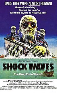 Shock Wavews