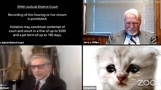 <span class="mw-page-title-main">Zoom Cat Lawyer</span> Internet meme