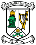 Ballymun Kickhhams logo.png