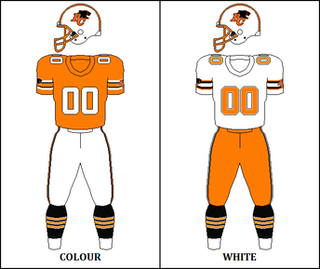 <span class="mw-page-title-main">1987 BC Lions season</span> Canadian football team season