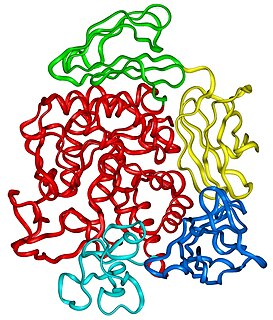 Cyclomaltodextrin glucanotransferase