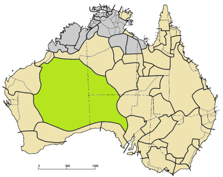 Western Desert language