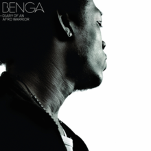 Benga - Diary of an Afro Warrior cover.PNG