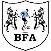 Shirt badge/Association crest