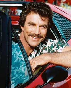 https://upload.wikimedia.org/wikipedia/en/thumb/5/59/Magnumtomselleck.jpg/250px-Magnumtomselleck.jpg