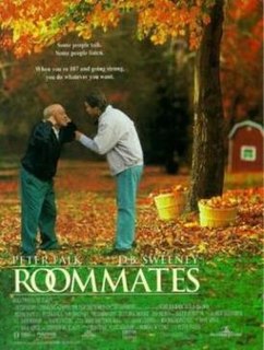 <i>Roommates</i> (1995 film) 1995 American film