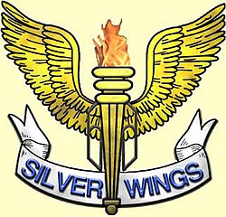Лого на Silver Wings.jpg