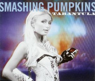 <span class="mw-page-title-main">Tarantula (The Smashing Pumpkins song)</span> Song by The Smashing Pumpkins