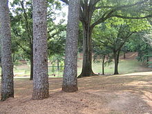 Emma Millican Park prior to Renovation Emma Millican Park.jpeg