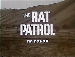 Rat patrol.JPG