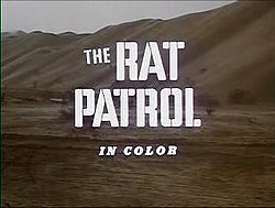 Patrouille de rats.JPG