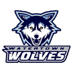 Ice Wolves earn point in shootout