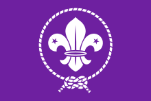 World Organization of the Scout Movement flag.svg