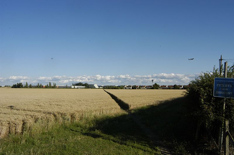 File:Top grade farm land between Harmondsworth, Middlesex, and Heathrow airport, July 2015.jpg