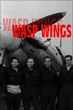 Wasp wings.jpg