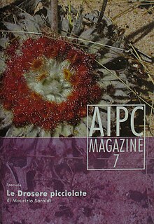 <i>AIPC Magazine</i>