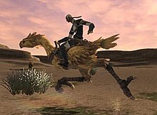 The raising, breeding, and racing of Chocobos was a much requested addition to the game. ChocoboridersFFXI.jpg