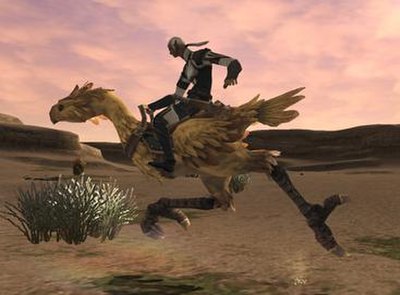 The raising, breeding, and racing of Chocobos was a much requested addition to the game.