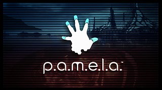 <i>P.A.M.E.L.A.</i> 2020 video game