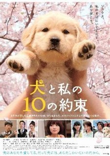 10 Promises To My Dog  is a 2008 Japanese film. The film was directed by Katsuhide Motoki, and stars Rena Tanaka, Mayuko Fukuda and Etsushi Toyokawa. Rena Tanaka and Mayuko Fukuda play the adult and the young version of Akari Saito respectively, while actor Etsushi Toyokawa stars as Akari's father.
