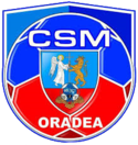 CSM Oradea (мужской гандбол) logo.png