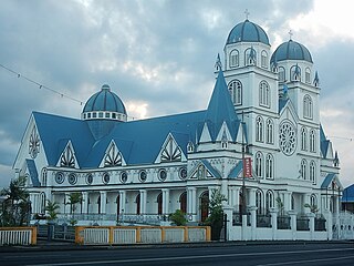 <span class="mw-page-title-main">Roman Catholic Archdiocese of Samoa-Apia</span> Roman Catholic archdiocese in Samoa