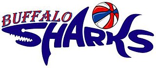 <span class="mw-page-title-main">Buffalo Sharks</span> Basketball team in New York, 2005–2008