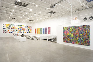 <span class="mw-page-title-main">Ryan McGinness</span> American painter