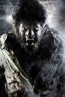 Image result for the wolfman