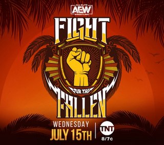 <span class="mw-page-title-main">Fight for the Fallen (2020)</span> All Elite Wrestling television special