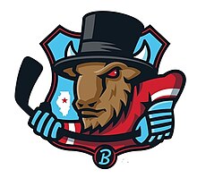 Windy City Bulls - Wikipedia