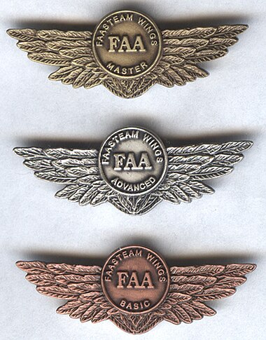 Pilot Proficiency Award pins