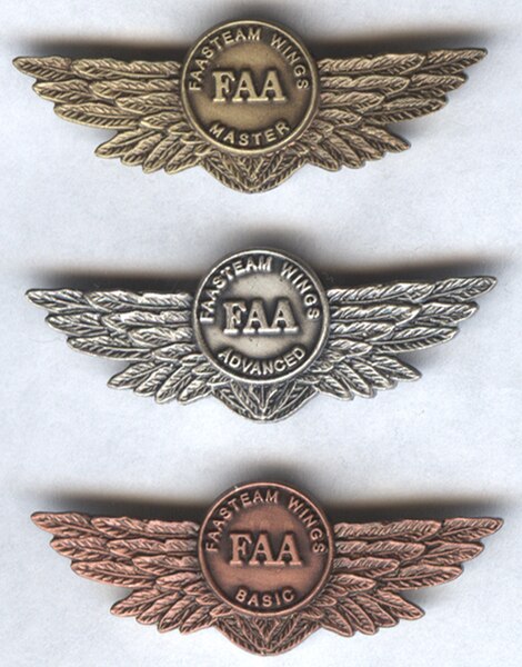 File:FAASTeamWings-New3.jpg