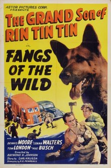 Fangs of the Wild (1939 film).jpg