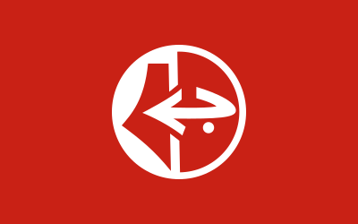 File:Flag of PFLP.svg