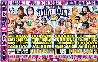 <i>En Busca de un Ídolo</i> 2014 2014 Consejo Mundial de Lucha Libre event