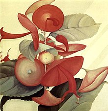 Genevieve Springston Lynch, Cup-and-Saucer Flowers, c. 1940, Honolulu Museum of Art