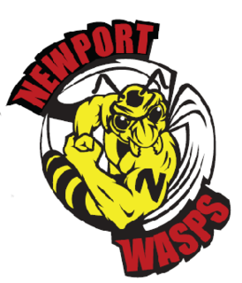 <span class="mw-page-title-main">Newport Wasps</span>