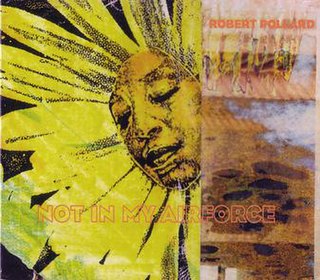 <i>Not in My Airforce</i> 1996 studio album by Robert Pollard