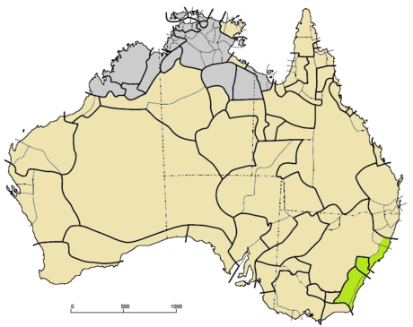 Yuin–Kuric languages