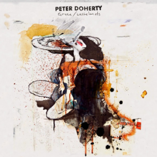 <i>Grace/Wastelands</i> 2009 studio album by Peter Doherty