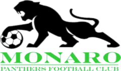 Logo: Monaro Panthers FC