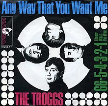 The Troggs Any Way That You Want Me.jpg