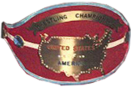 WWWF KITA Heavyweight Championship.png