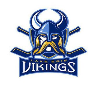 <span class="mw-page-title-main">Jamestown Vikings</span> Professional ice hockey team